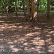 ヒメ日記 2025/10/13 11:26 投稿 めあ SAPPORO ばつぐんnet