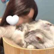 ヒメ日記 2025/09/09 18:20 投稿 とおる★(ドMミケポ高身長) ぽっちゃり女神 あぷろでぃーて