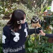 とおる★(ドMミケポ高身長) 真剣なまなざし👀 ぽっちゃり女神 あぷろでぃーて