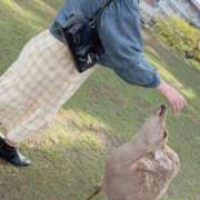 ヒメ日記 2026/04/06 13:06 投稿 とおる★(ドMミケポ高身長) ぽっちゃり女神 あぷろでぃーて