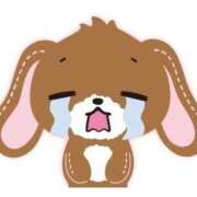 ヒメ日記 2025/08/09 05:07 投稿 こなつ(超ミニマム) ぽっちゃり女神 あぷろでぃーて