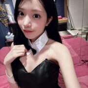 ヒメ日記 2025/08/05 00:21 投稿 ニノ 千葉美女革命