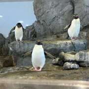 ヒメ日記 2025/10/01 11:19 投稿 るな スピードエコ日本橋店