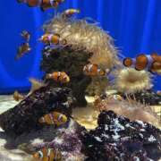 ヒメ日記 2025/10/05 14:59 投稿 るな スピードエコ日本橋店