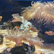 ヒメ日記 2025/10/14 09:39 投稿 るな スピードエコ日本橋店