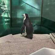 ヒメ日記 2025/11/04 09:49 投稿 るな スピードエコ日本橋店