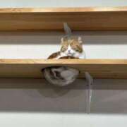 ヒメ日記 2025/11/06 09:59 投稿 るな スピードエコ日本橋店