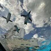 ヒメ日記 2025/11/07 09:09 投稿 るな スピードエコ日本橋店