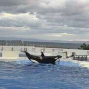 ヒメ日記 2025/12/07 08:19 投稿 るな スピードエコ日本橋店