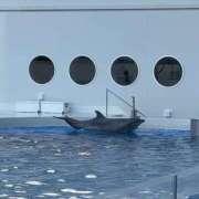 ヒメ日記 2025/12/09 18:56 投稿 るな スピードエコ日本橋店