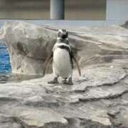 るな るな（エコ日本橋店） スピードエコ日本橋店