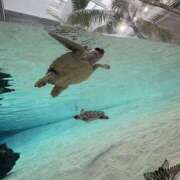 るな るな（エコ日本橋店） スピードエコ日本橋店