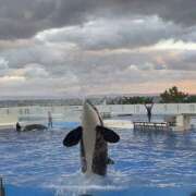 ヒメ日記 2025/12/23 12:03 投稿 るな スピードエコ日本橋店