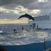 ヒメ日記 2025/12/27 19:09 投稿 るな スピードエコ日本橋店