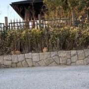 ヒメ日記 2026/02/21 10:30 投稿 るな スピードエコ日本橋店