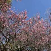 ヒメ日記 2026/02/28 19:09 投稿 るな スピードエコ日本橋店