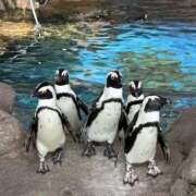 ヒメ日記 2026/04/10 08:49 投稿 るな スピードエコ日本橋店