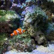 ヒメ日記 2026/04/12 07:09 投稿 るな スピードエコ日本橋店