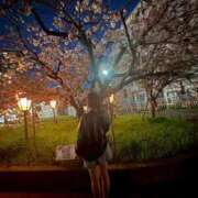 ヒメ日記 2026/04/14 11:39 投稿 るな スピードエコ日本橋店