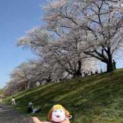 るな るな（エコ日本橋店） スピードエコ日本橋店