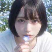ヒメ日記 2026/04/17 22:25 投稿 花井まみ ブルーバード