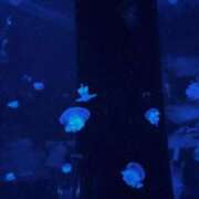 ゆうき 明日急遽いてます 手コキガールズコレクション