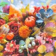 ヒメ日記 2025/10/11 11:48 投稿 くるみ 川越おかあさん