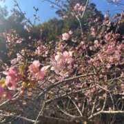 ヒメ日記 2026/03/25 19:11 投稿 くるみ 川越おかあさん