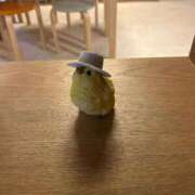 ヒメ日記 2026/02/11 21:56 投稿 くるみ 大宮おかあさん