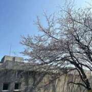 ヒメ日記 2026/04/02 18:26 投稿 くるみ 大宮おかあさん