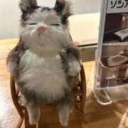 くるみ ありがとうございました⭐︎ 大宮おかあさん