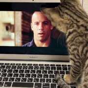 ヒメ日記 2025/05/13 20:04 投稿 ひなた One More奥様　蒲田店