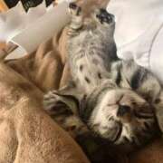 ヒメ日記 2025/05/14 10:34 投稿 ひなた One More奥様　蒲田店