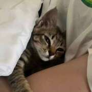 ヒメ日記 2025/05/14 14:24 投稿 ひなた One More奥様　蒲田店