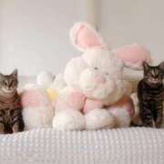 ヒメ日記 2025/06/18 05:34 投稿 ひなた One More奥様　蒲田店