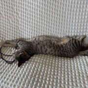 ヒメ日記 2025/07/01 13:44 投稿 ひなた One More奥様　蒲田店