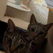 ヒメ日記 2025/07/13 18:04 投稿 ひなた One More奥様　蒲田店