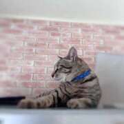 ヒメ日記 2025/07/22 04:34 投稿 ひなた One More奥様　蒲田店