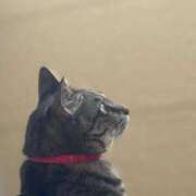 ヒメ日記 2025/08/13 19:00 投稿 ひなた One More奥様　蒲田店