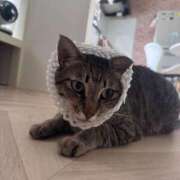 ヒメ日記 2025/08/19 18:34 投稿 ひなた One More奥様　蒲田店