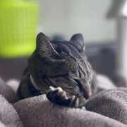 ヒメ日記 2025/10/11 06:55 投稿 ひなた One More奥様　蒲田店