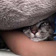 ヒメ日記 2025/11/01 06:24 投稿 ひなた One More奥様　蒲田店