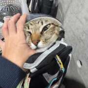 ヒメ日記 2025/11/05 17:44 投稿 ひなた One More奥様　蒲田店