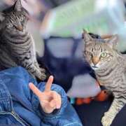 ひなた 12がつ🎅 One More奥様　蒲田店