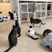 ヒメ日記 2025/11/12 20:43 投稿 エンジェル パイセン