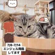 ヒメ日記 2026/07/08 20:45 投稿 エンジェル パイセン