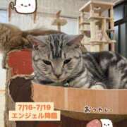 ヒメ日記 2026/07/16 21:44 投稿 エンジェル パイセン
