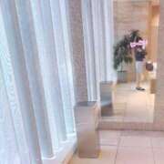 ヒメ日記 2025/04/29 07:02 投稿 崎山琳(さきやまりん) 東京ヒストリー　秘密の約束