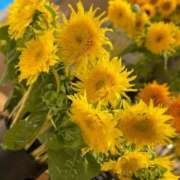 ヒメ日記 2025/06/01 20:42 投稿 崎山琳(さきやまりん) 東京ヒストリー　秘密の約束