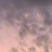 ヒメ日記 2025/09/08 06:27 投稿 はつね 熟女家 堺東店